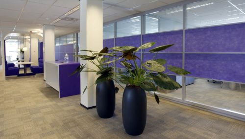 portfolio_interline-03