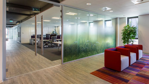 portfolio_intervision-01